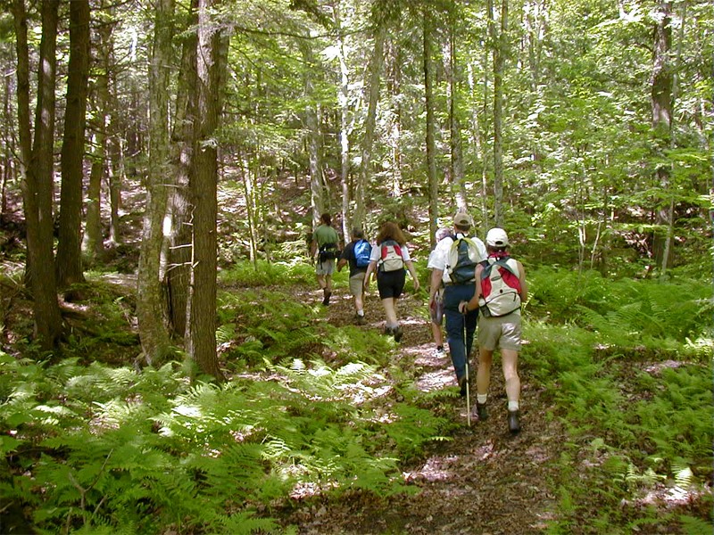Amytal Rehab Treatment ProgramWilliamsville VT